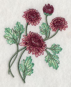 Classy Chrysanthemums 2