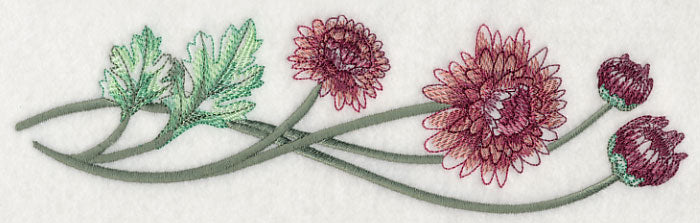 Classy Chrysanthemums Border 2