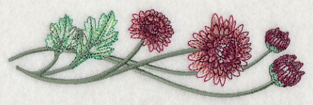 Classy Chrysanthemums Border 2