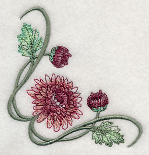 Classy Chrysanthemums Corner 1