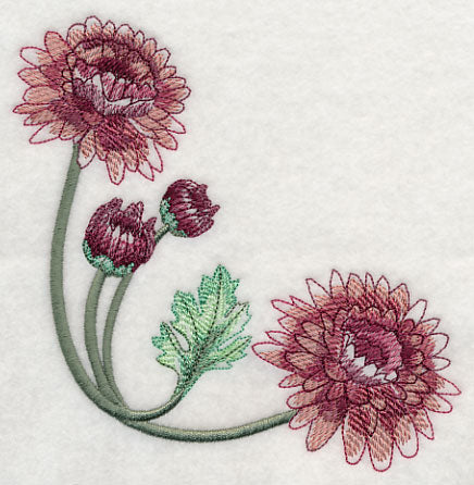 Classy Chrysanthemums Corner 2