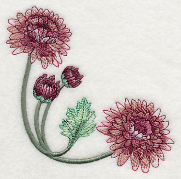 Classy Chrysanthemums Corner 2