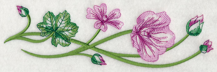 Marvelous Malva Border 1