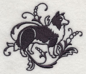 Graceful Border Collie