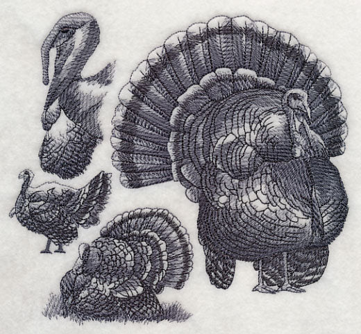 Turkey Sketch
