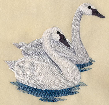 Trumpeter Swans on the Lake