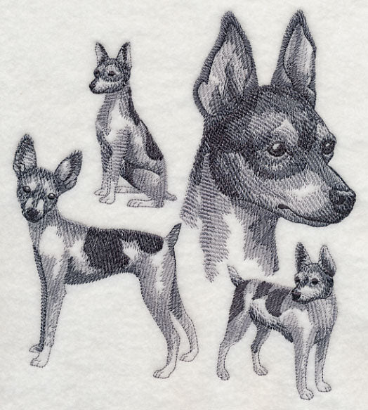 Toy Fox Terrier Sketch