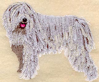 Komondor