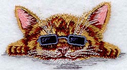 Kitten with Shades