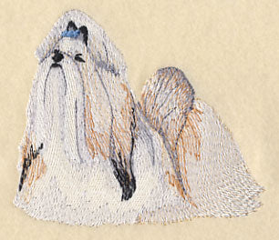 Shih Tzu - Show Stance