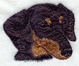 Dachshund Head - Smooth