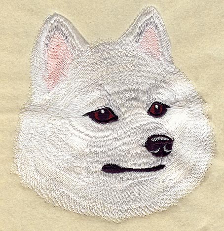 Portrait of American Eskimo