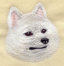 Portrait of American Eskimo