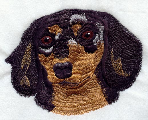 Dachshund Head - Longhair