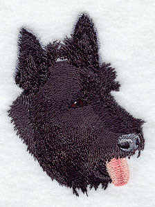 Scottish Terrier Head