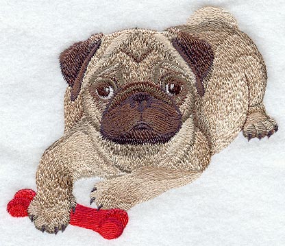 Pug Puppy