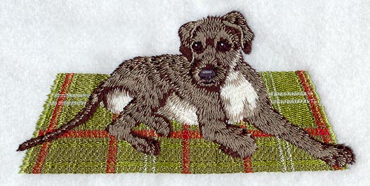 Irish Wolfhound Puppy