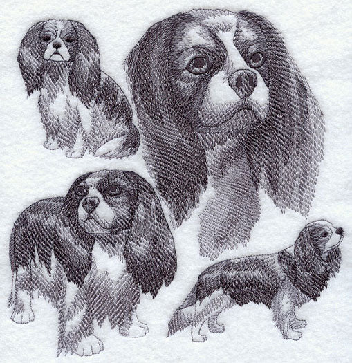 Cavalier King Charles Spaniel Sketch