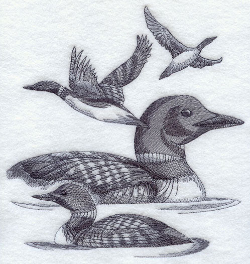 Loon Sketch
