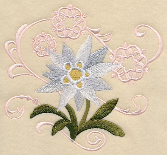 Edelweiss and Snowflake Echo