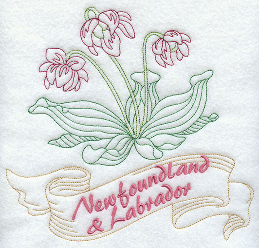 Newfoundland and Labrador - Pitcher Plant (Redwork)