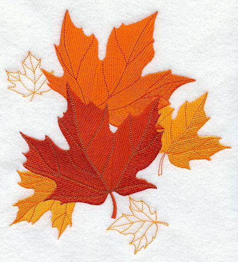 Maple Leaf Montage