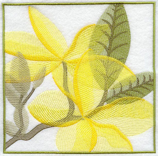 Frangipani Soft Shadow Square