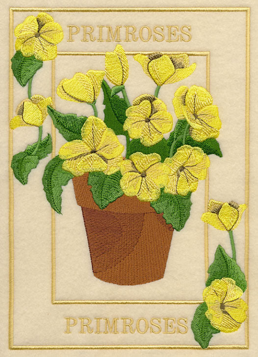 Potted Primroses Medley