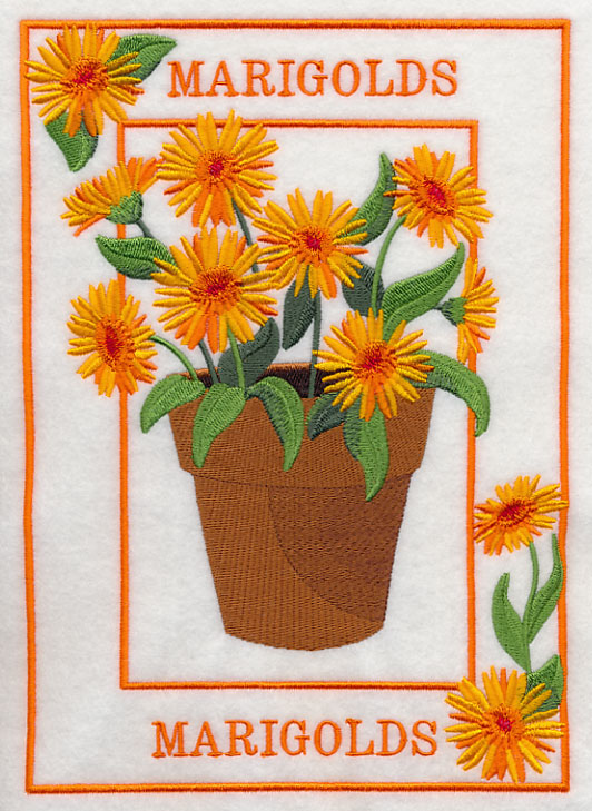 Potted Marigolds Medley