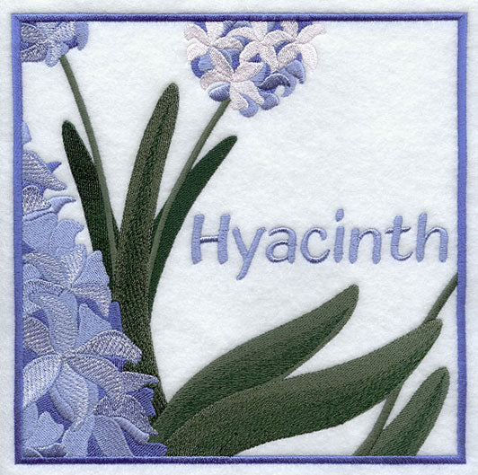 Hyacinth Floral Square