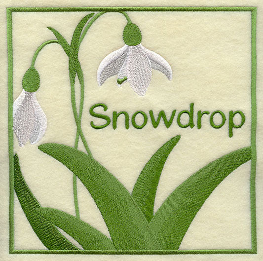 Snowdrop Floral Square