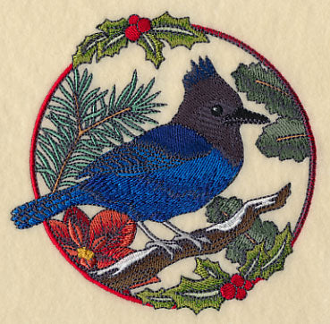 Steller's Jay in Christmas Blooms