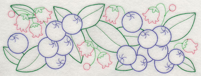 Bursting Blueberry Border (Vintage)