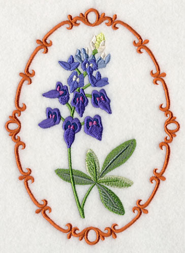 Bluebonnet Cameo