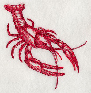 Crawfish Sketch