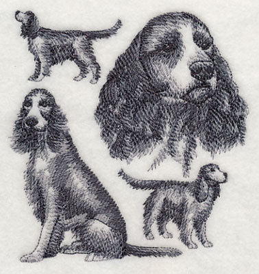 English Springer Spaniel Sketch (Full Tail)