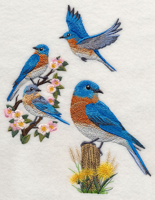 Eastern Bluebird Collage