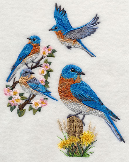 Eastern Bluebird Collage