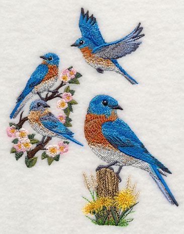 Eastern Bluebird Collage