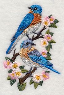 Eastern Bluebirds and Blossoms