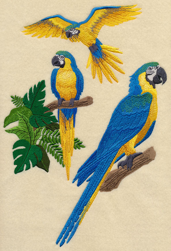 Blue-and-yellow Macaw Collage
