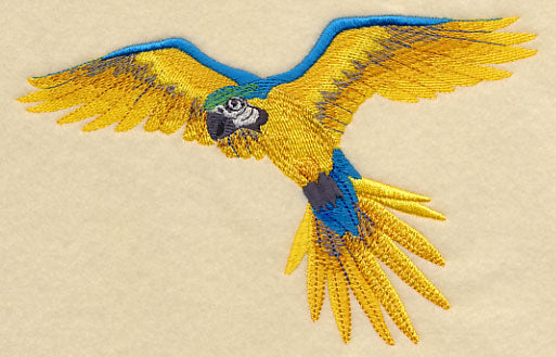 Blue-and-yellow Macaw in Flight