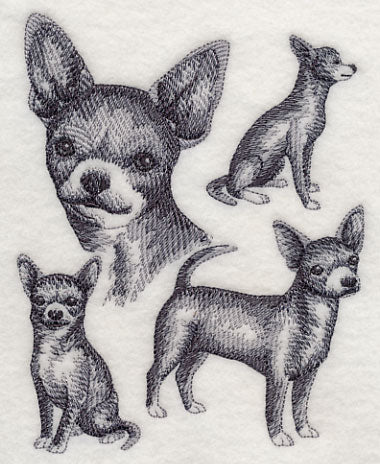 Short-haired Chihuahua Sketch