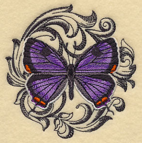 Colorado Hairstreak with Baroque Background