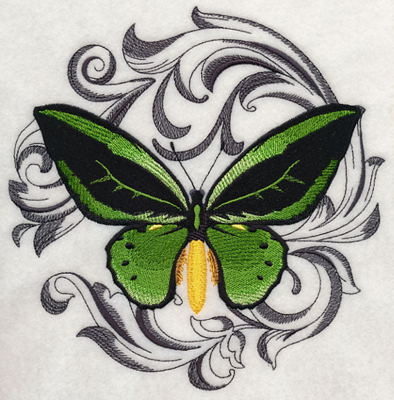 Common Green Birdwing with Baroque Background