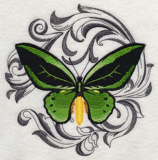 Common Green Birdwing with Baroque Background