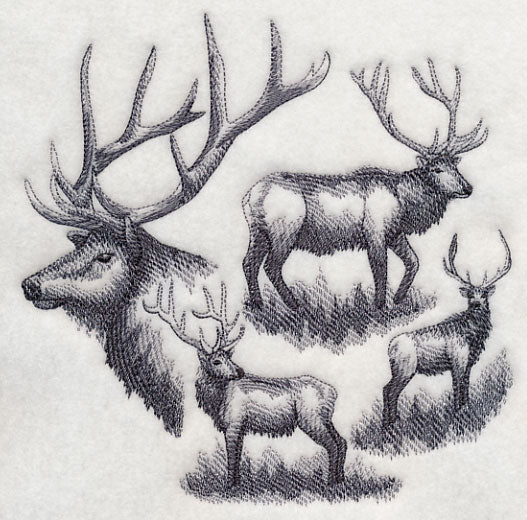Elk Sketch