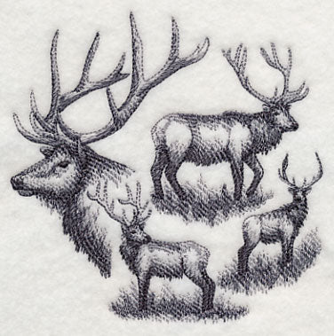 Elk Sketch
