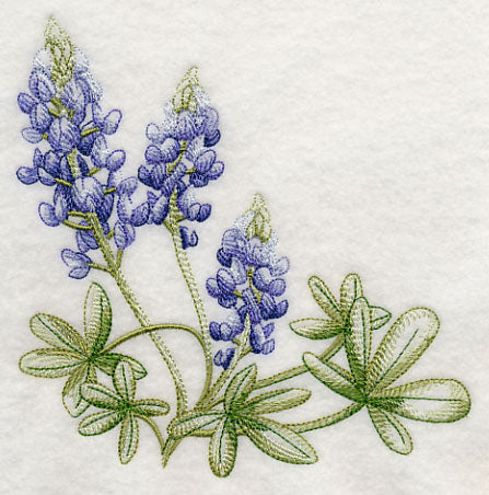 Breathtaking Bluebonnets Corner 2