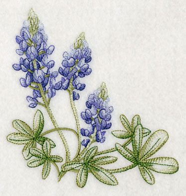 Breathtaking Bluebonnets Corner 2